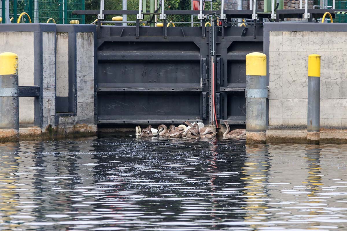 Törnbericht Unruh Marine Hausboot Verleih