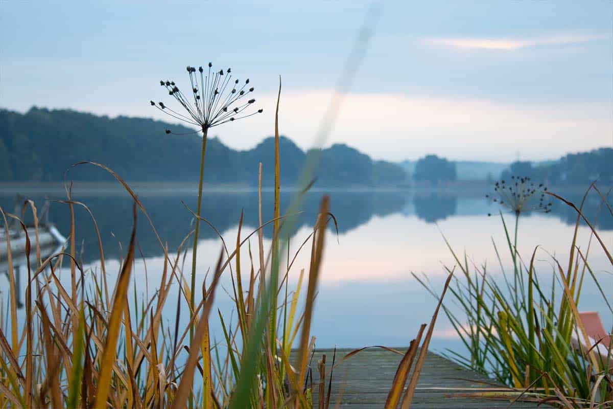 Reisebericht Törn Hausboot Mecklenburg